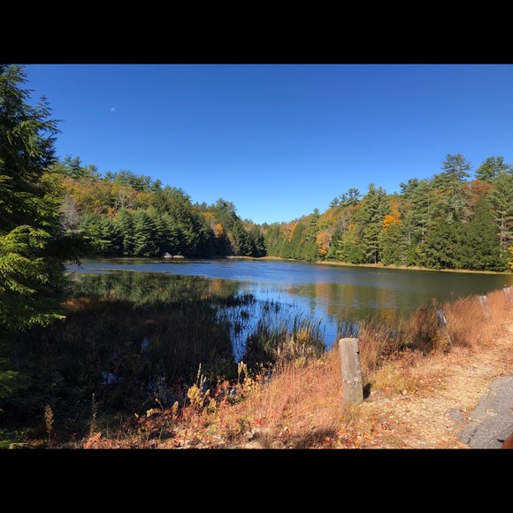 amy_caron